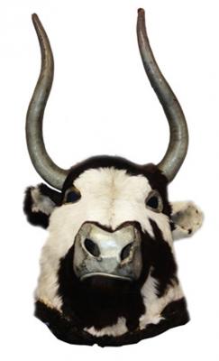 c17-bull-head