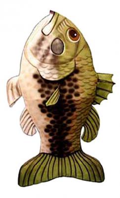 c191-fishgreen